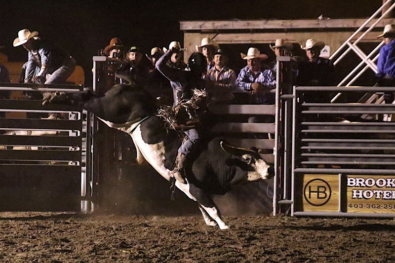 Image #3 (Open Bull Riding Under the Lights $5000 added Friday Night)